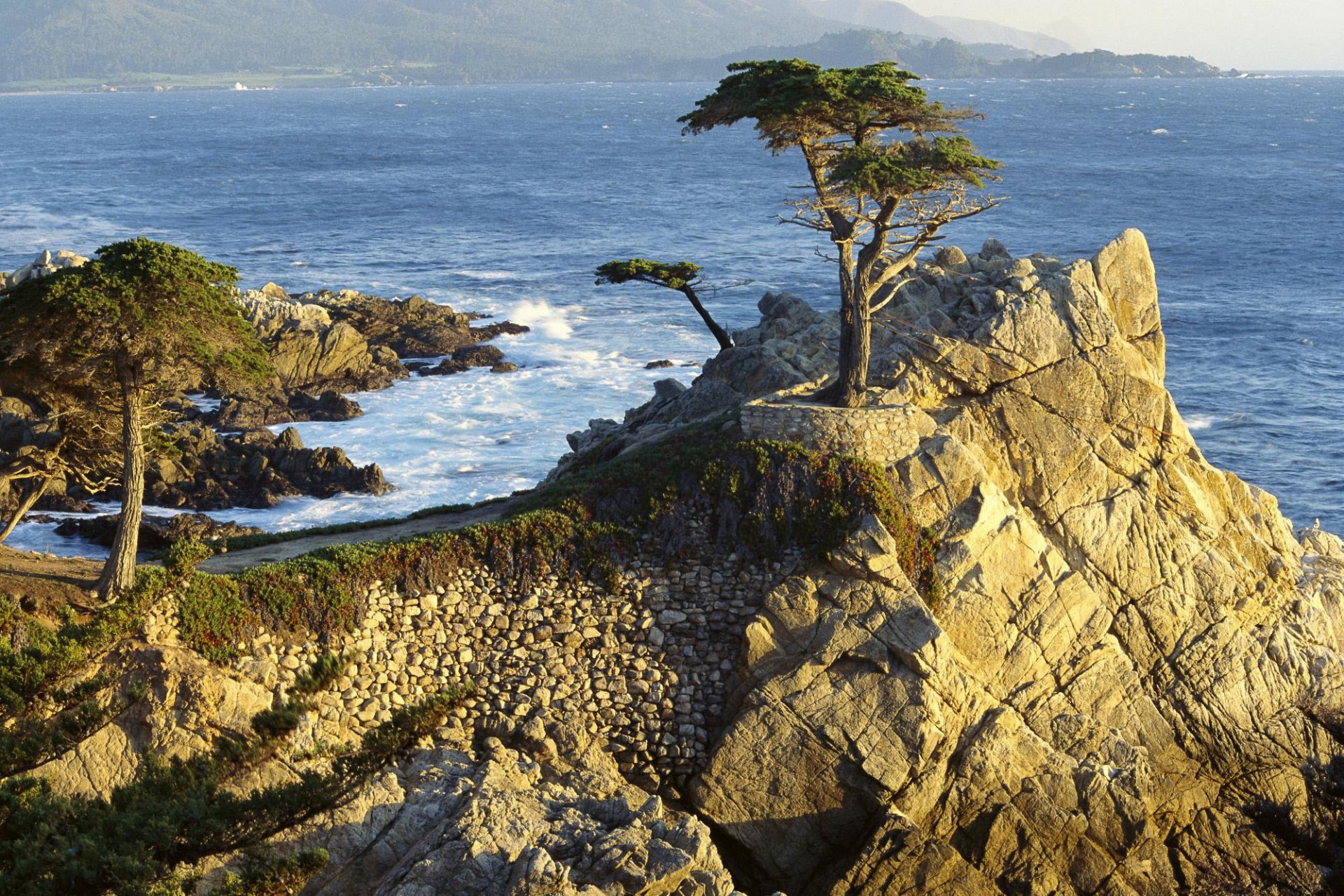 rocas árboles costa