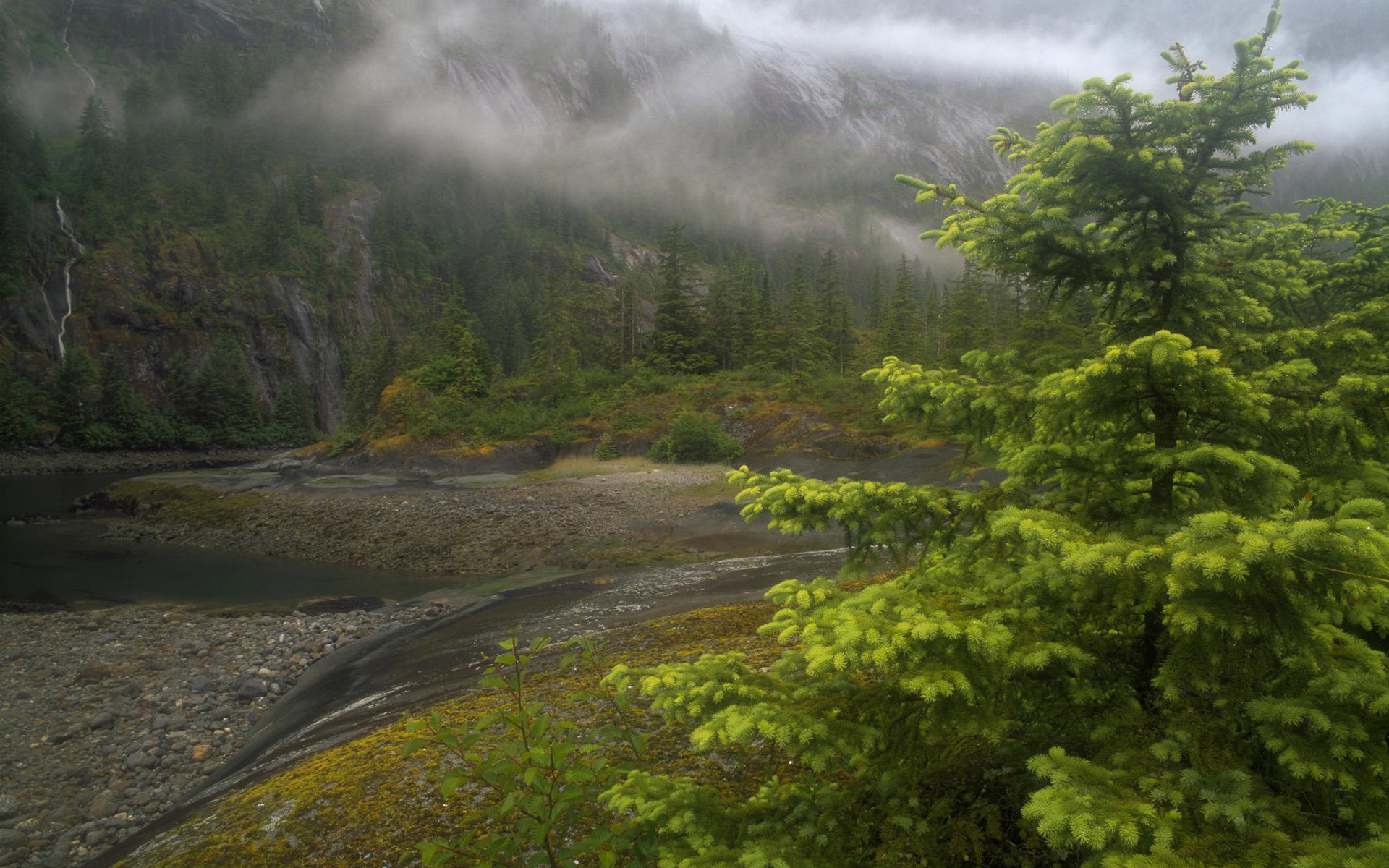 alaska river fog