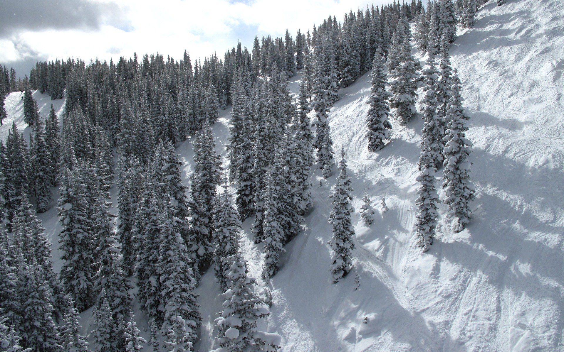 inverno montagna neve pendenza