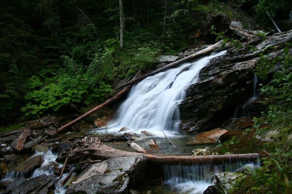 Schöner Wasserfall fließt im Wald