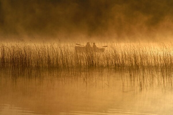 People in a boat on the lake among the reeds in the predawn fog