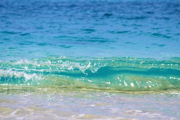 Vague de mer sur la plage