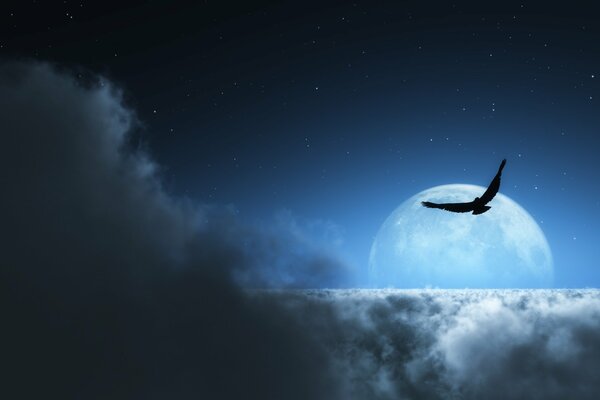 Pájaro con alas anchas en un cielo nublado estrellado contra una Luna pálida