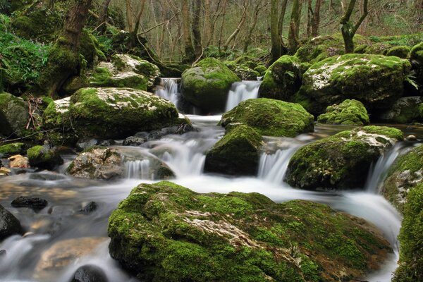 Ein Bach mit Wasser unter Steinen