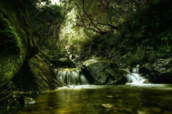 Поток воды в лесной реке