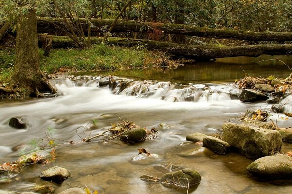 Kaltes Wasser, Füße frieren ein