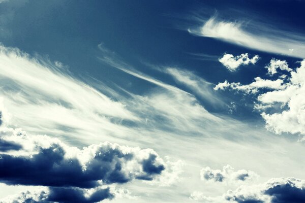 Gentle blue clouds. Blue sky