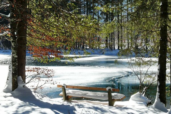 Banc romantique au bord du lac d hiver