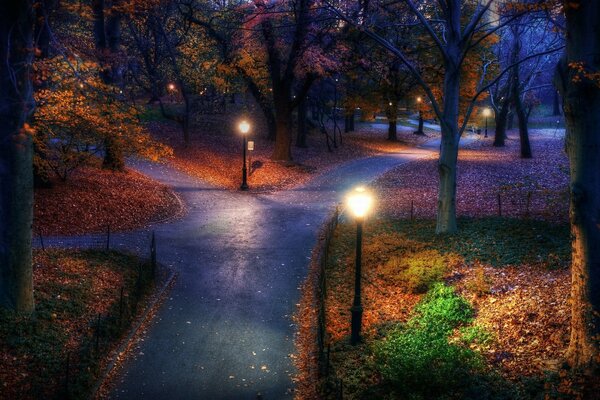 The roads in the autumn park are illuminated by numerous lampposts at dusk