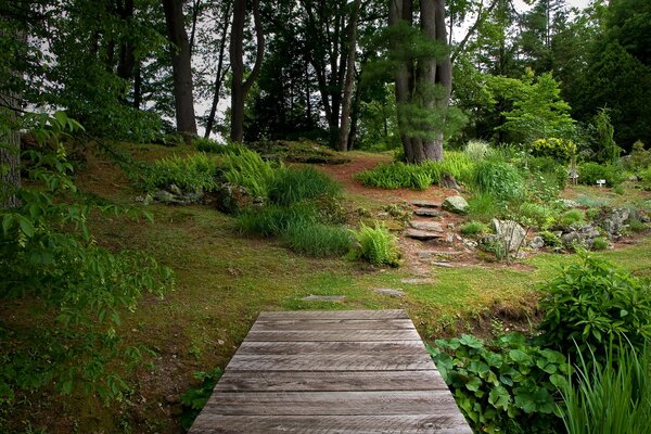 Brücke im botanischen Garten