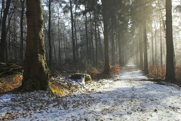 Winterstraße ist ein schöner Morgen Schönheit