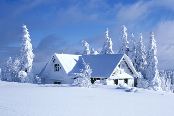 The house is under the snow among the snow-covered fir trees