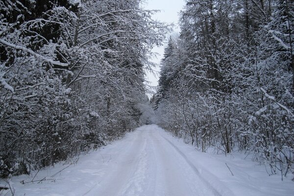 Camino de invierno hacia lo desconocido