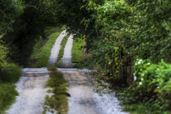 Un camino romántico en medio de un paisaje pintoresco