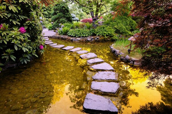 Chemin fleuri vers le pays des merveilles