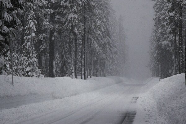 Strada innevata attraverso yelnik