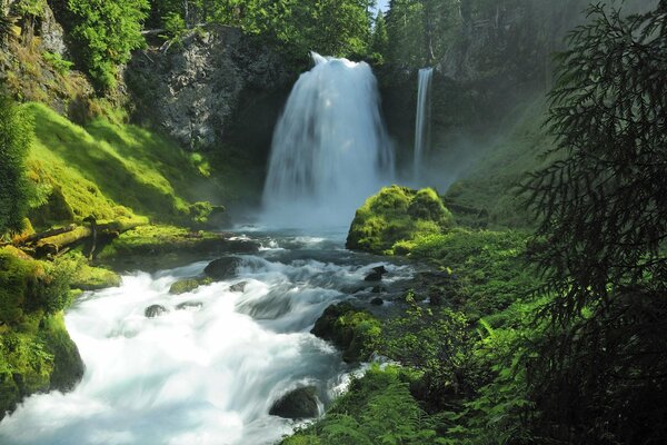 Landscape with a beautiful waterfall in the forest