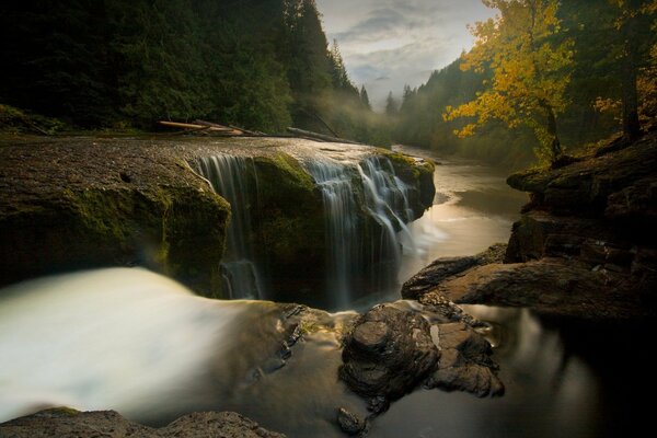 Ein Waldfall, der in den Fluss fällt