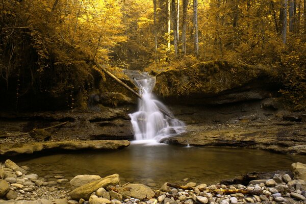 Herbstlicher goldener natürlicher Fluss