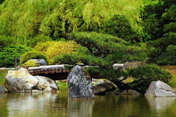 Nature photography in the Bridge Park