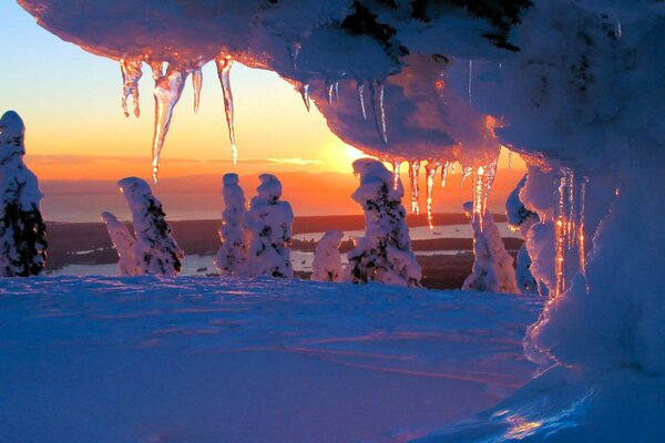 Glaçons sur fond de coucher de soleil dans la forêt d hiver