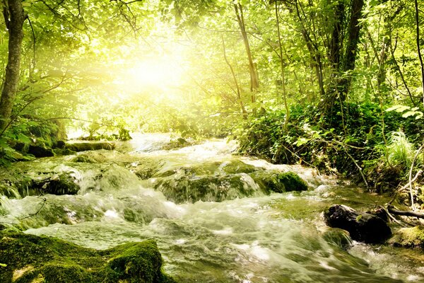 Ein stürmischer Fluss mit Sonnenlicht