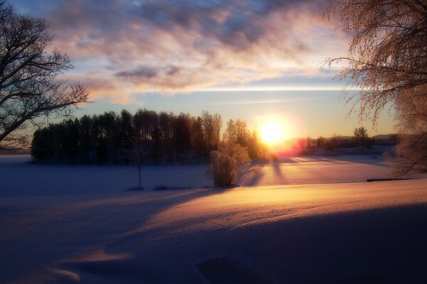 Winter in the forest at sunset