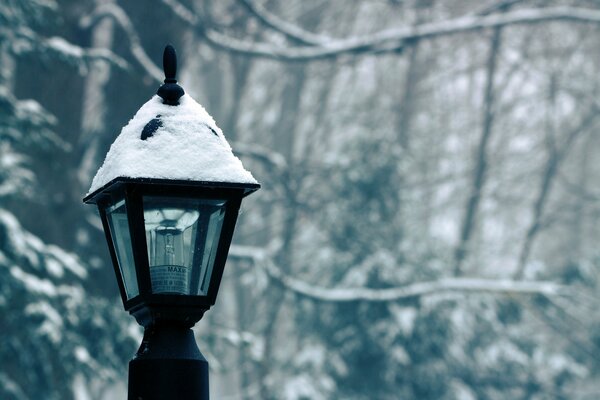 Winter lantern in the forest