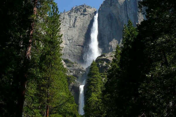 Landscape with a high waterfall and forest