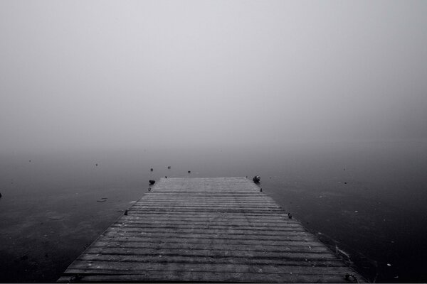 Mgła ogarnęła jezioro od rana
