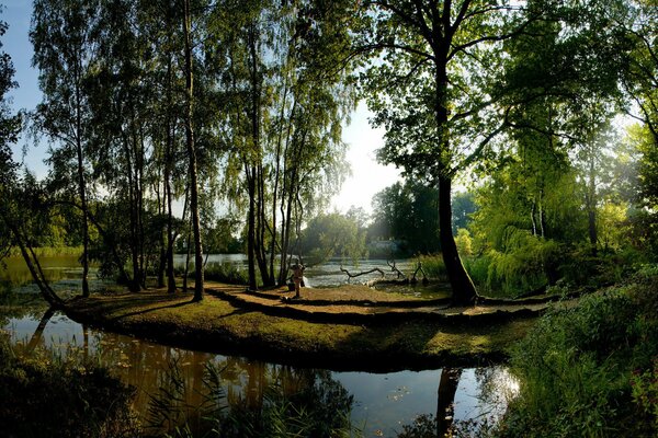 An unusual view of a forest river