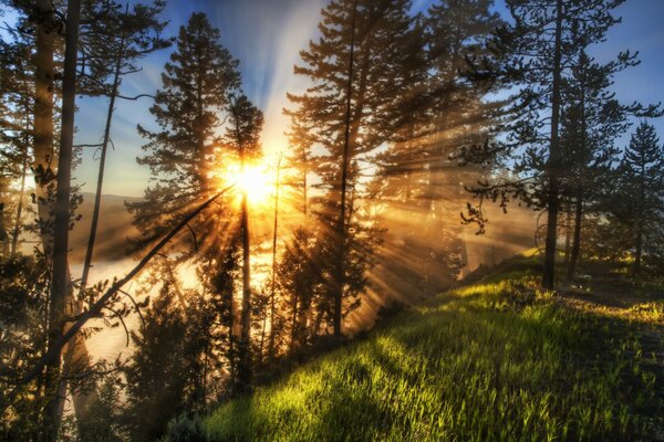 Aube dans la nature avec des rayons de lumière