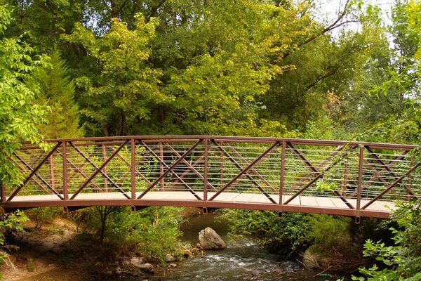 Eine sichere Brücke inmitten des Grüns