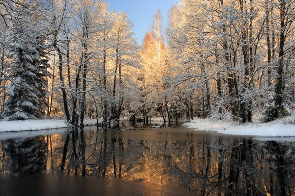 Река зимняя среди леса