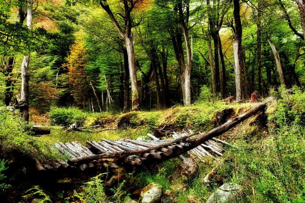 Le pont qui mène à la maison