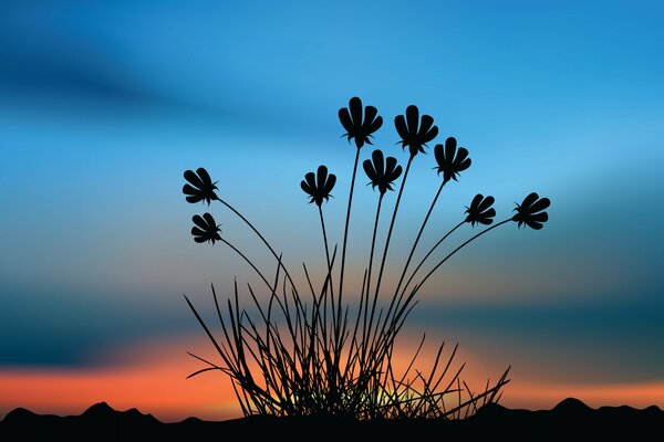 Beautiful flowers in the middle of the sunset