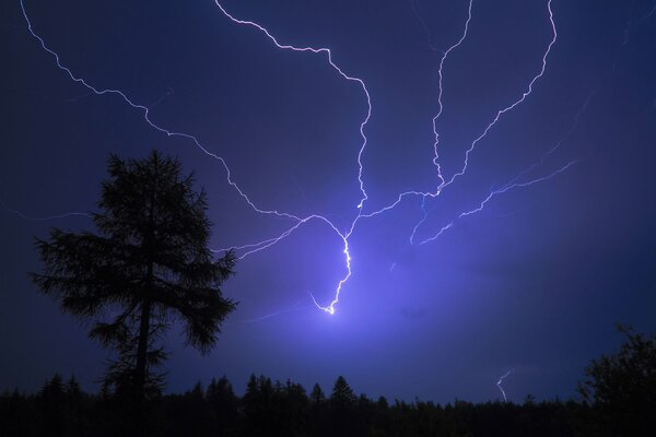 Night lightning in the sky near a tree