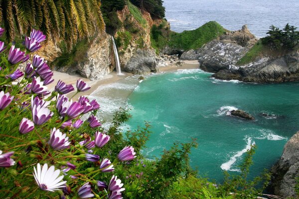 Felsen mit blühenden Blumen vor dem Hintergrund des Meeres