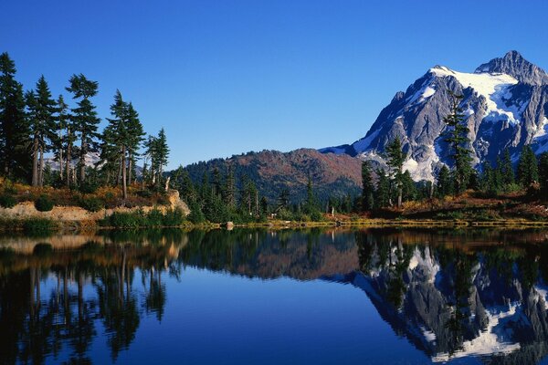 Hermoso paisaje en el fondo del lago