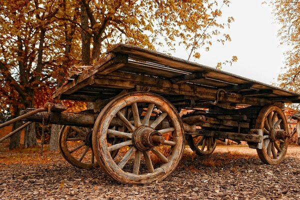 Carro di legno nel paesaggio autunnale