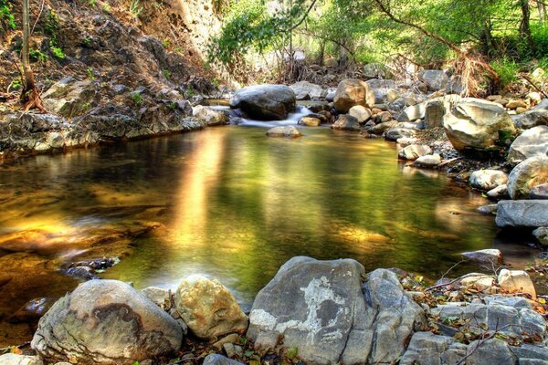 Hermoso arroyo del bosque bordeado de piedras