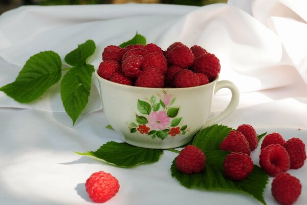 Framboises dans une tasse blanche avec des feuilles