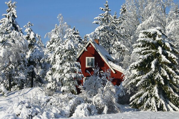 Sunny morning in a snowy village