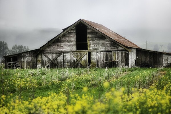 A building abandoned in a field against a gray sky