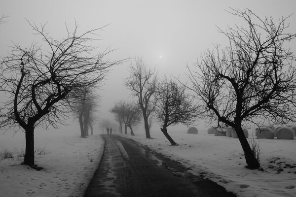 Route d hiver avec beau brouillard