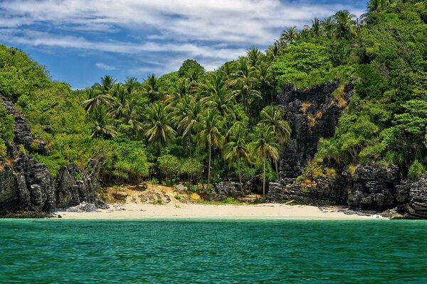 Plage de palmiers dans un coin isolé