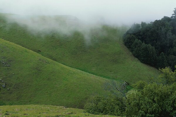 Green hills shrouded in thick fog