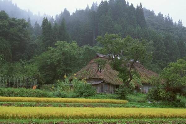 Japanisches Haus im Wald