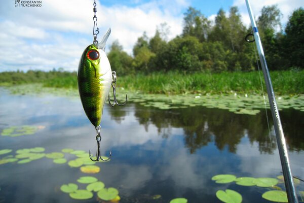 Fishing on the lake with water lilies and fishing rod