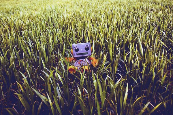 Zabawkowy Robot siedzi na trawie polnej